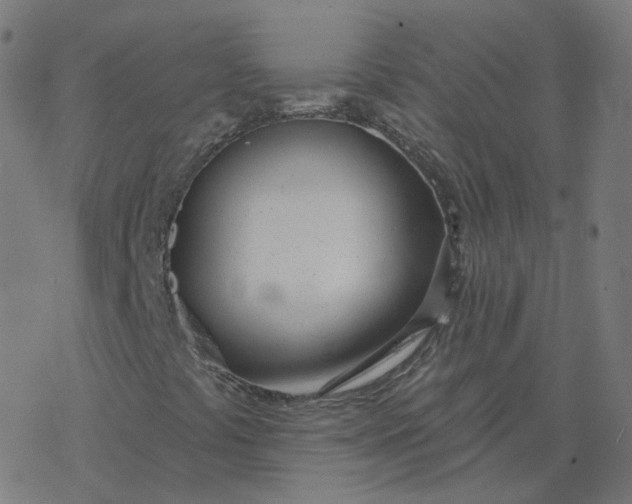 X0000077401441200611032015