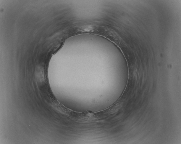 X0000077401442200611032015