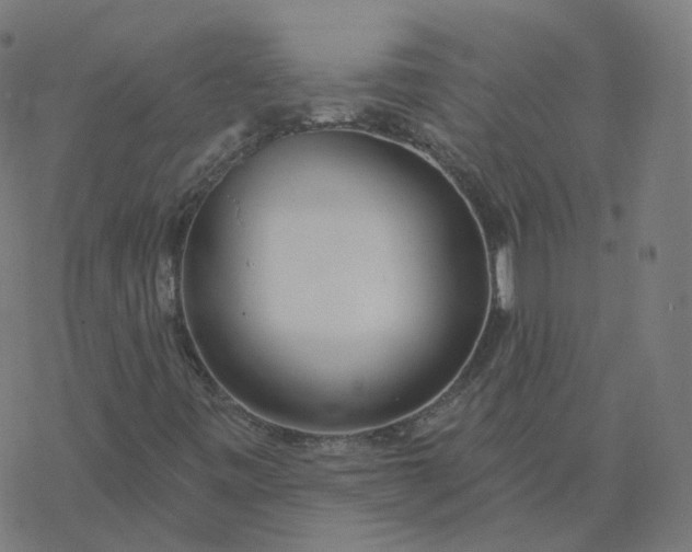 X0000077401443200611032015