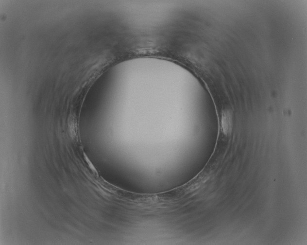 X0000077401444200611032015