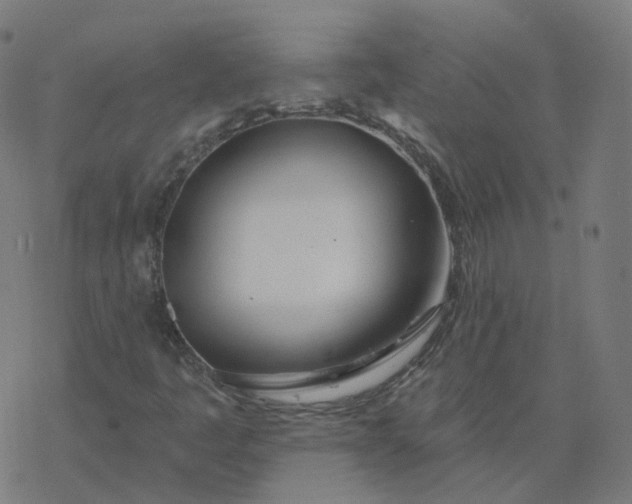 X0000077401445200611032015