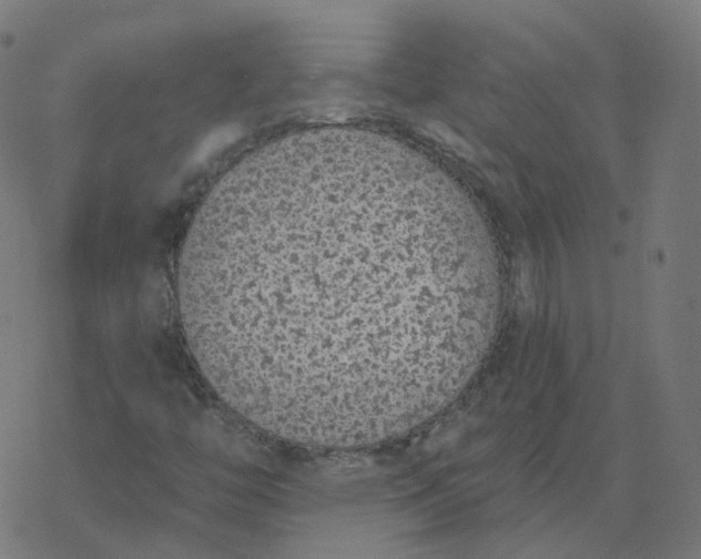 X0000077401446200611032015