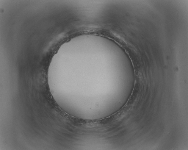 X0000077401447200611032015