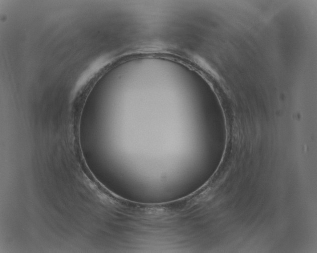 X0000077401456200611032014