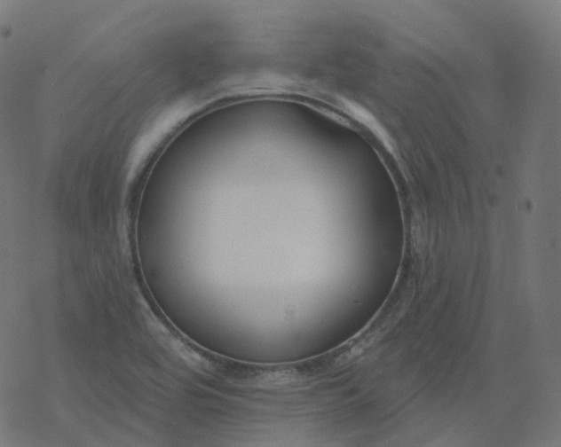 X0000077401464200611032014