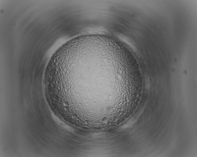 X0000077401471200611032014