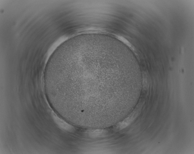 X0000077401474200611032014