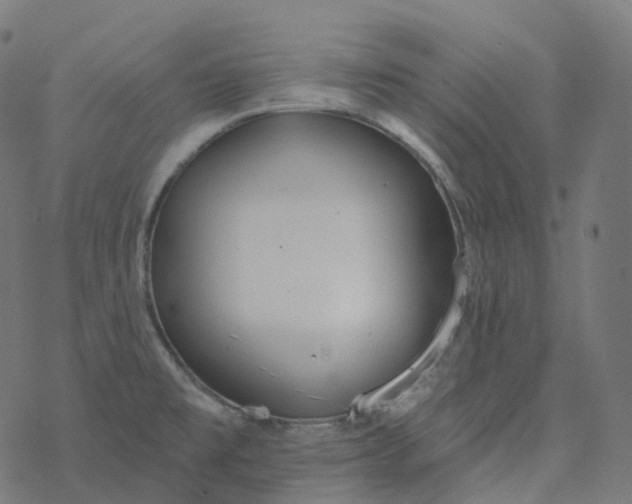 X0000077401477200611032014