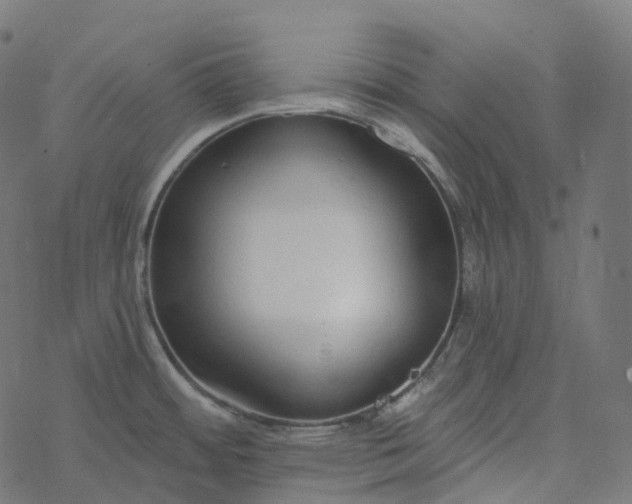 X0000077401484200611032014