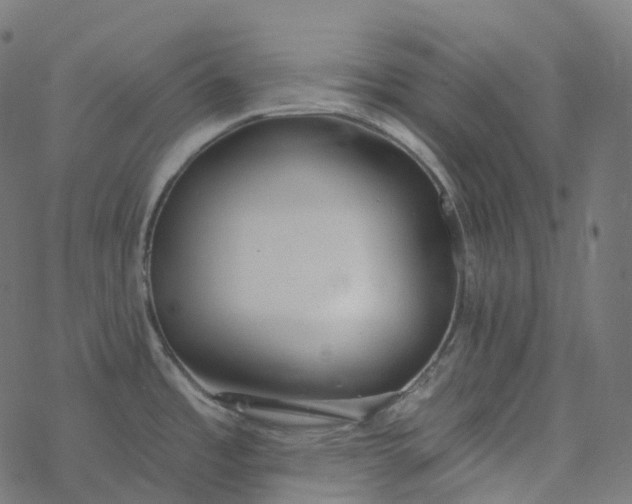 X0000077401485200611032014