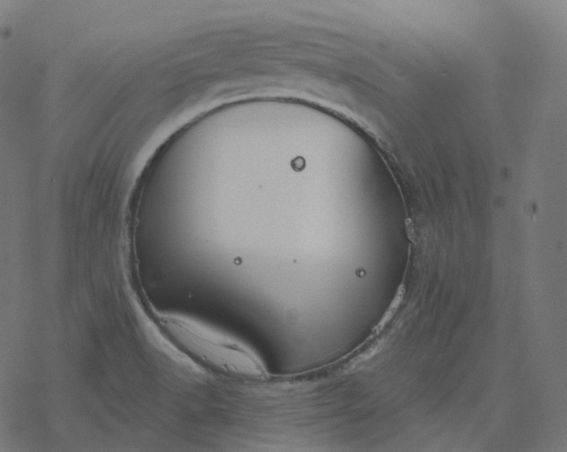 X0000077401518200611032014