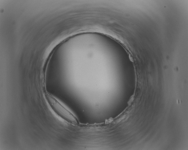 X0000077401519200611032014