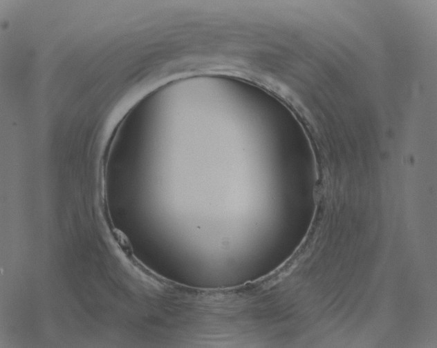 X0000077401520200611032014