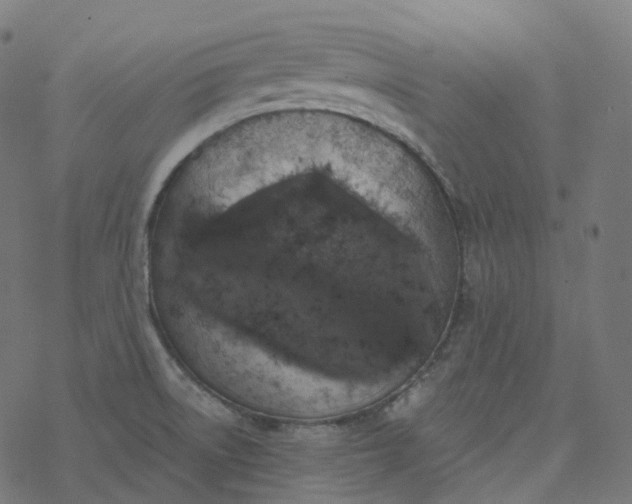 X0000077401522200611032014