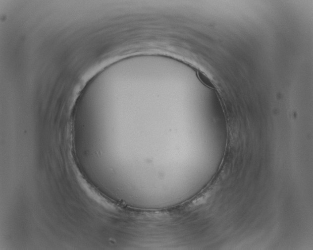 X0000077401526200611032014