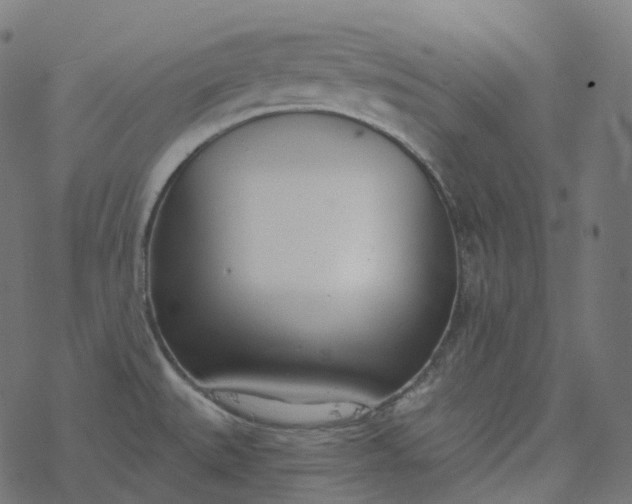 X0000077401527200611032014