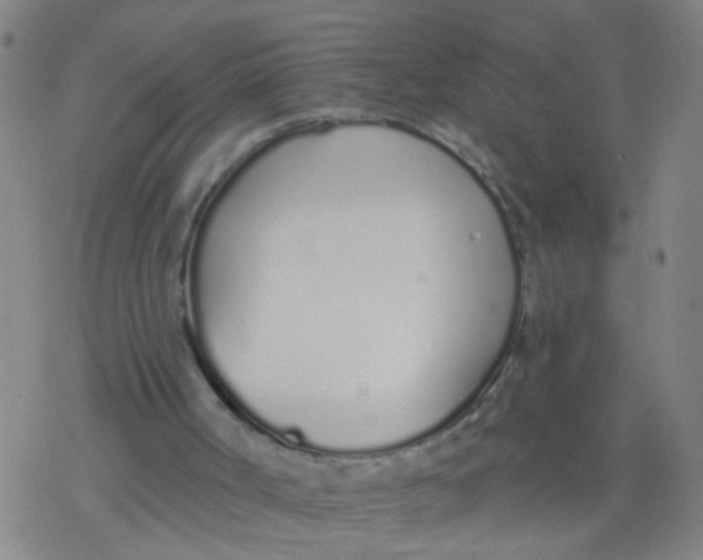 X0000077400002200611101832