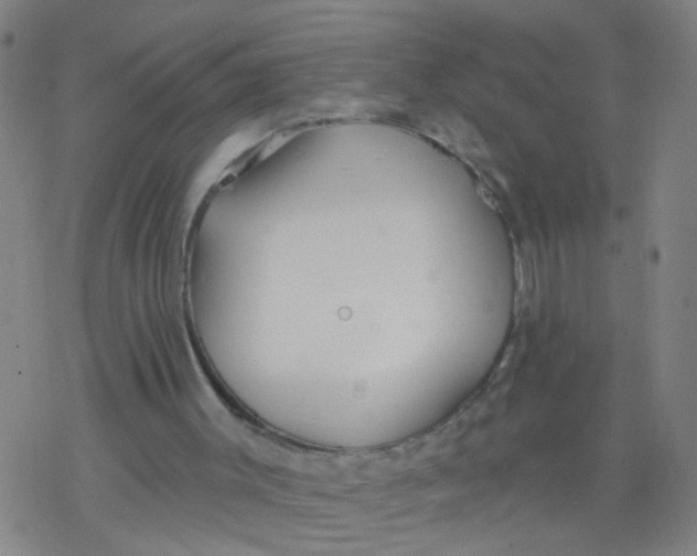 X0000077400003200611101832