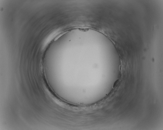 X0000077400005200611101832