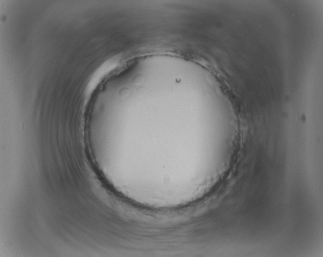 X0000077400006200611101832