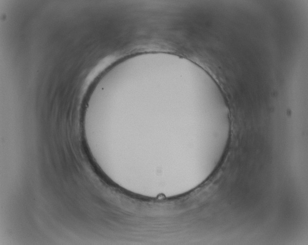 X0000077400008200611101831