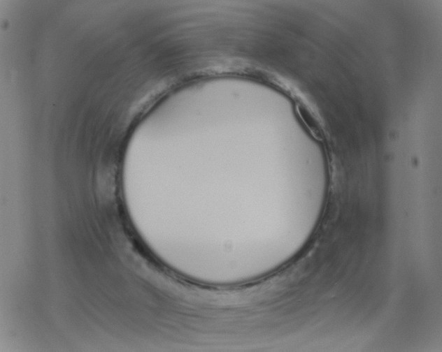 X0000077400010200611101831