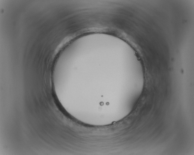 X0000077400011200611101831