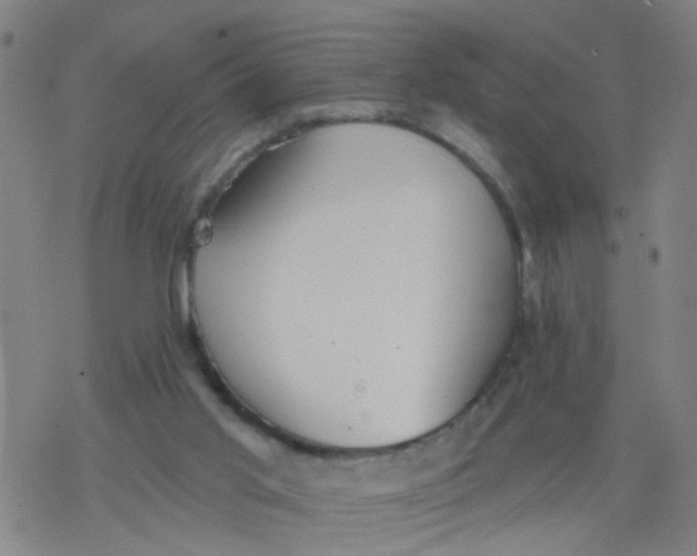 X0000077400013200611101831