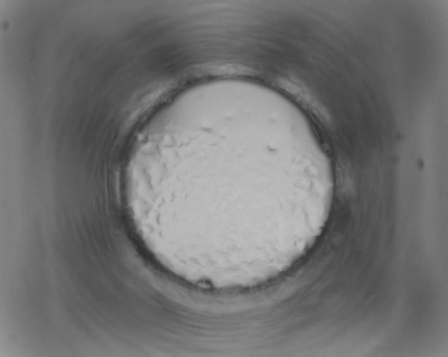 X0000077400014200611101831