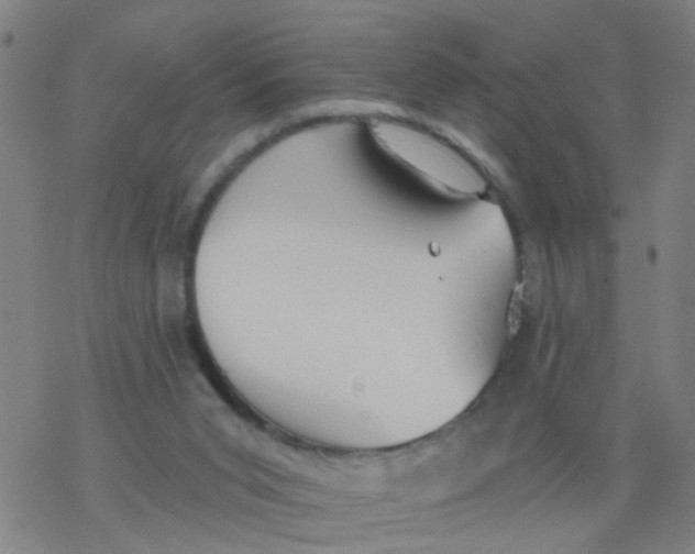 X0000077400015200611101831