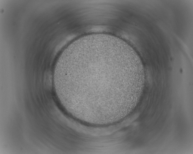 X0000077400016200611101831