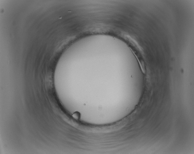 X0000077400017200611101831