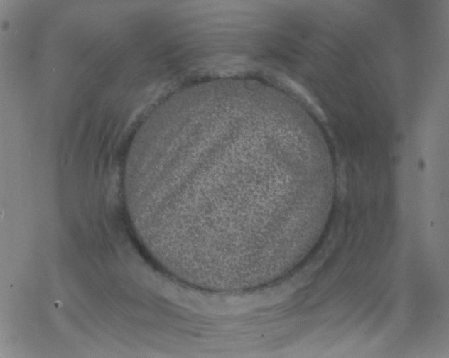 X0000077400018200611101831