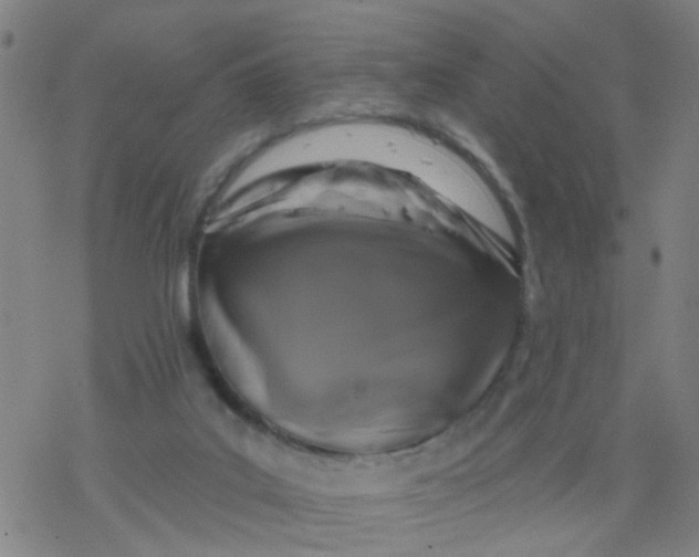 X0000077400019200611101831