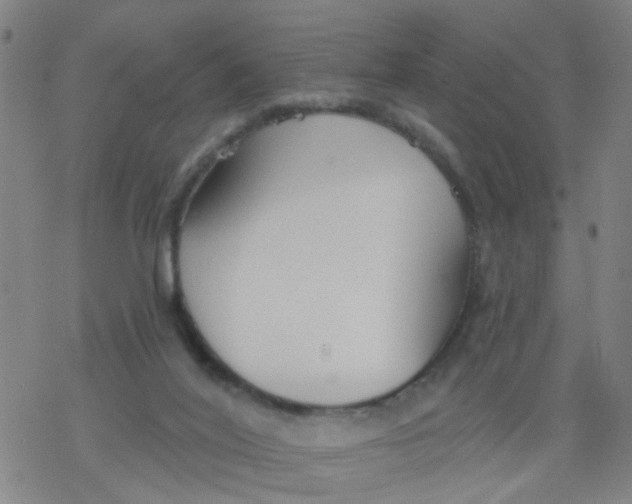 X0000077400020200611101831