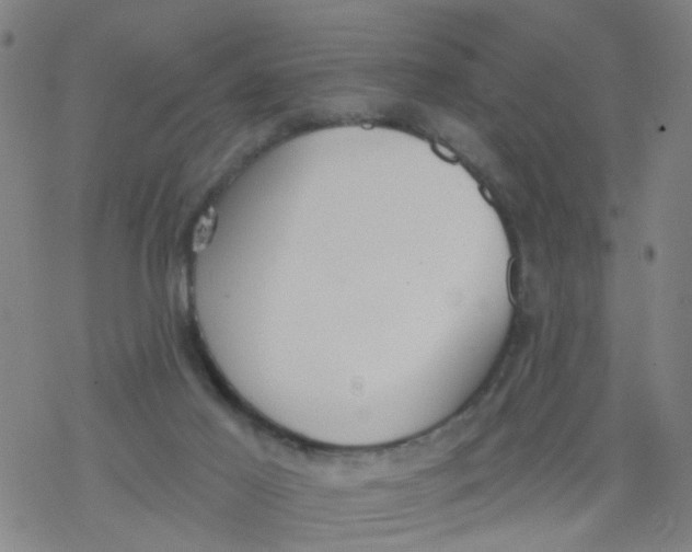 X0000077400021200611101831