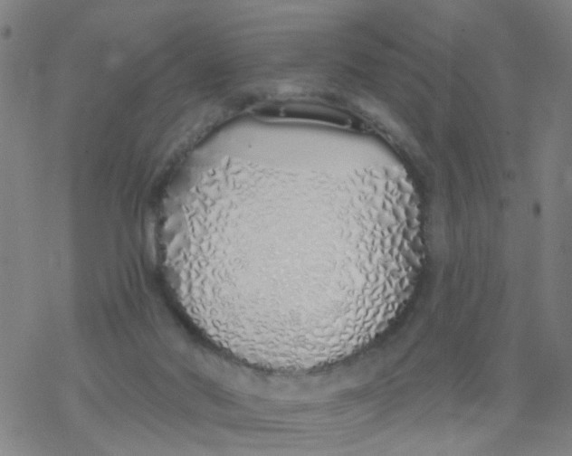 X0000077400022200611101831