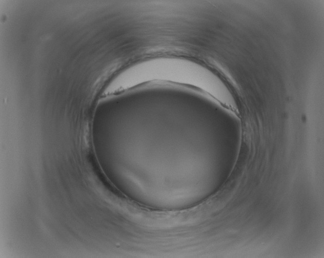 X0000077400023200611101831