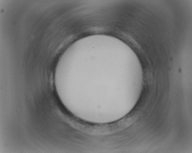 X0000077400024200611101831