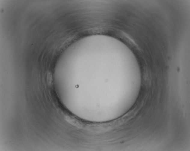 X0000077400025200611101831