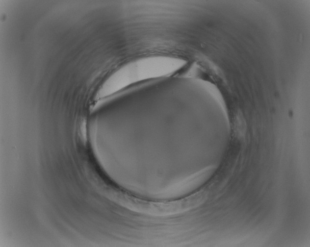 X0000077400027200611101831