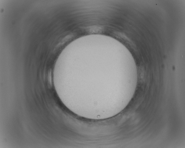 X0000077400028200611101831