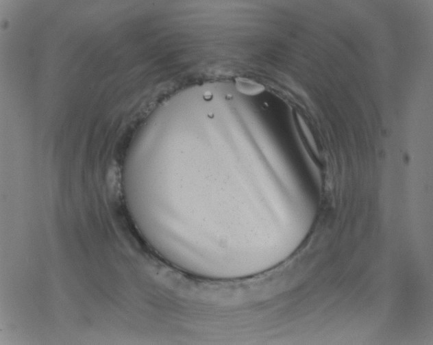 X0000077400029200611101831