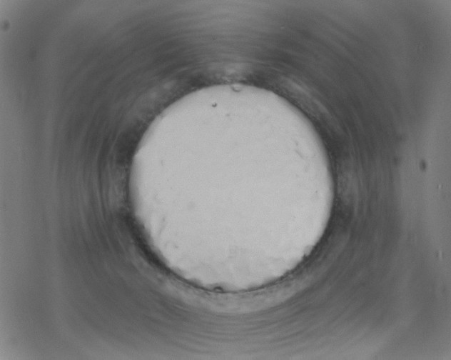 X0000077400030200611101831