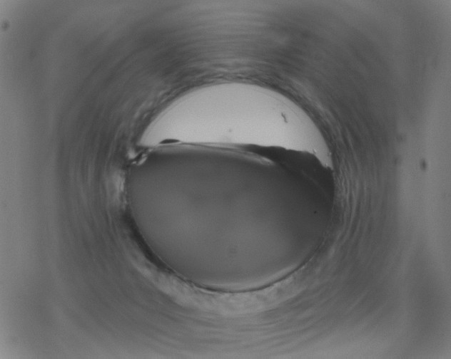 X0000077400031200611101831