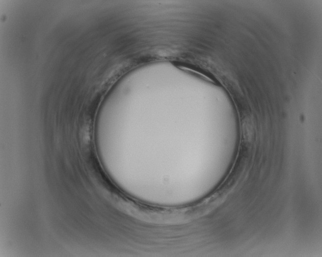 X0000077400032200611101831