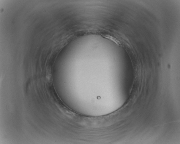 X0000077400033200611101831