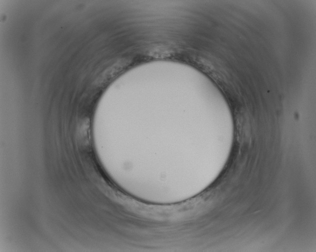 X0000077400034200611101831