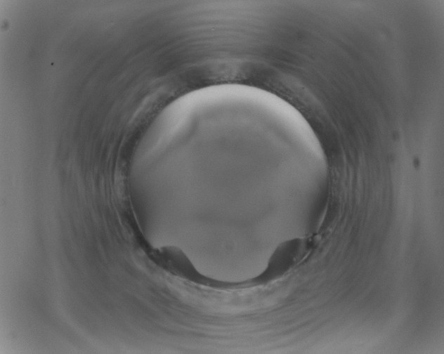 X0000077400035200611101831