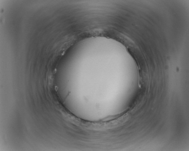 X0000077400037200611101831